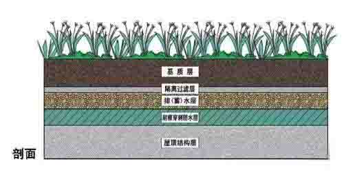 湖南草字頭生態環境建設有限公司,人造草坪假草皮,湖南雨水收集處理工藝 湖南草字頭生態環境建設有限公司,人造草坪假草皮,湖南雨水收集處理工藝